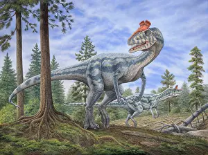 Alertness: Cryolophosaurus dinosaurs hunting for prey in