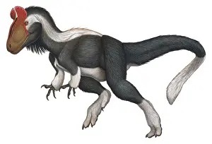 Acrylic: Cryolophosaurus, a large theropod that lived during the ?