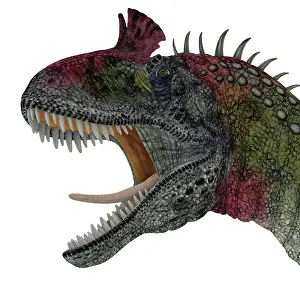 Close Up: Cryolophosaurus portrait