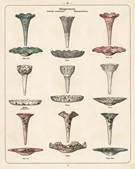 Wurttembergische: Crystal garnitures and dishes