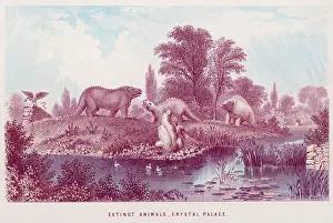 Edified: CRYSTAL PALACE ANIMALS