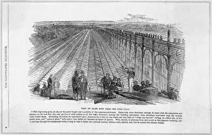 Roofing: CRYSTAL PALACE ROOF
