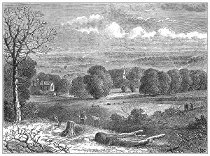 Relocated: Crystal Palace, South London