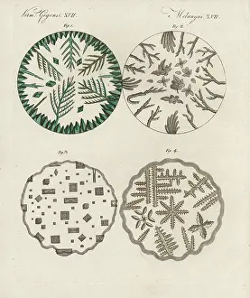 Bertuchs: Crystals of verdigris, boric acid, common salt