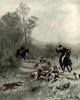 Sanderson: Cub-Hunt