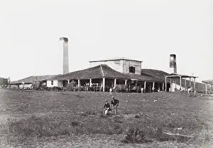 Crushing: Cuba: crushing mill on a sugar plantation
