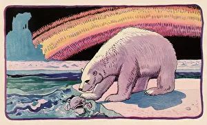 Ursa: A Cub's Icy Bath