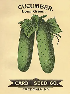 Packets: Cucumber Seed Packet