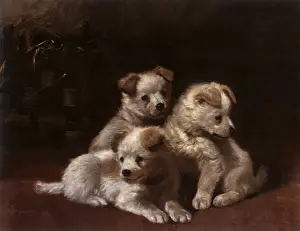 Cuddling: Cuddling Puppie
