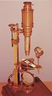 Cuff: Cuff compound microscope