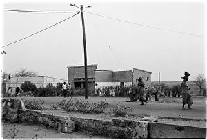 Cuanavale: Cuito Cuanavale. Angola 2005