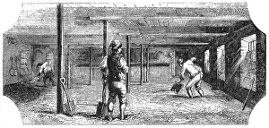 Cultivating: Cultivation of beer