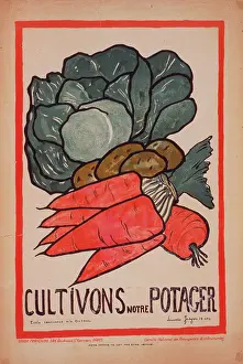 Potager: Cultivons notre potager