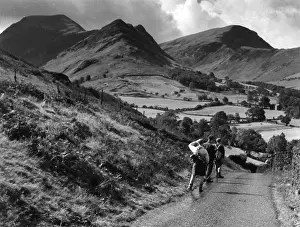 Newlands: CUMBRIA RAMBLERS