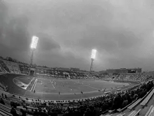 Dynamo: Cup of USSR, 1981