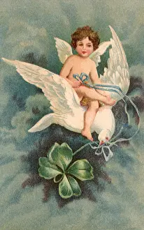 Clover: Cupid and Dove