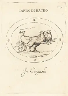 Roman God: Cupid driving a chariot of Bacchus