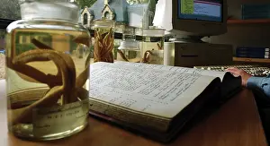 Curation: Curation and data transfer
