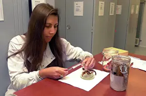 Evaluation: Curator checking specimens