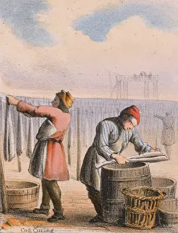 Utility: Curing cod by salting and hanging up to dry
