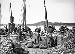 Closer: Curing Herrings, Ardglass