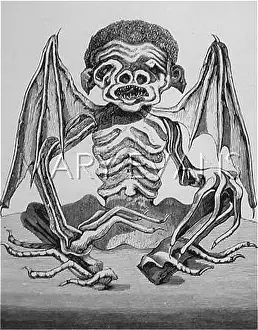 Oddity: Curio found by Frank Buckland