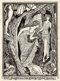Danced: The Curious Young Man