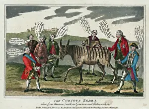 Gripping: The curious zebra - alive from America! walk in gem'men and
