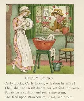 Swine: Curly Locks