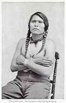 Custer: Curly, scout to General Custer