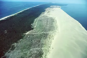 Equal: Curonian Spit in Kaliningrad region, 1996