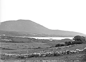 Achill: The Curraun from Achill Island