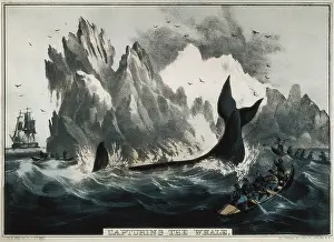 Watery: CURRIER and IVES. Capturing the whale. Litography