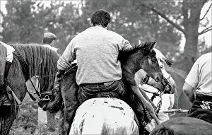 Curro: Curro Das Bestas, Pontevedra, Donas, Galicia, Spain