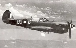 Kittyhawk: Curtiss Kittyhawk of the Australian Air Force