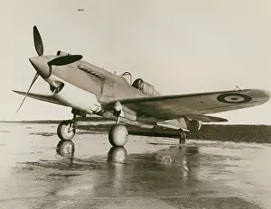 Tomahawk: Curtiss Model 81 Tomahawk I, AH762