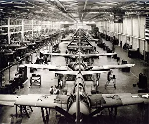 Helldiver: Curtiss Model 84 Helldiver production