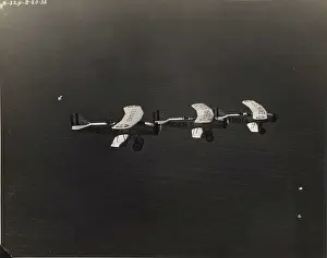 Falcons: Three Curtiss OC-2 Falcons of the US Marine Corps