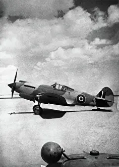 Warhawk: Curtiss P-40 Warhawk