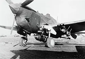 Warhawk: Curtiss P-40 Warhawk