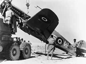 Warhawk: Curtiss P-40 Warhawk