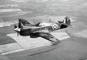 Warhawk: Curtiss P-40 Warhawk