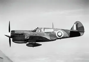 Warhawk: Curtiss P-40 Warhawk