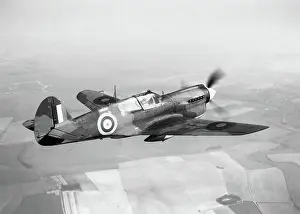 Warhawk: Curtiss P-40 Warhawk