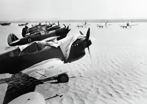 Warhawk: Curtiss P-40 Warhawk