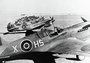 Warhawk: Curtiss P-40 Warhawk