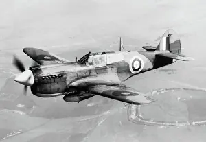 Warhawk: Curtiss P-40 Warhawk