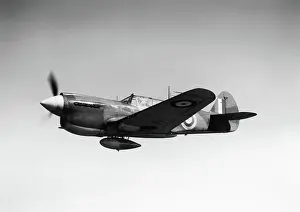 Warhawk: Curtiss P-40 Warhawk