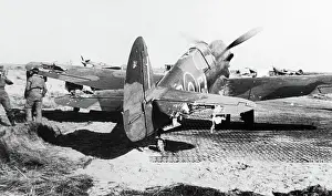 Warhawk: Curtiss P-40 Warhawk