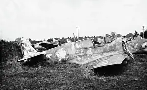 Warhawk: Curtiss P-40 Warhawk
